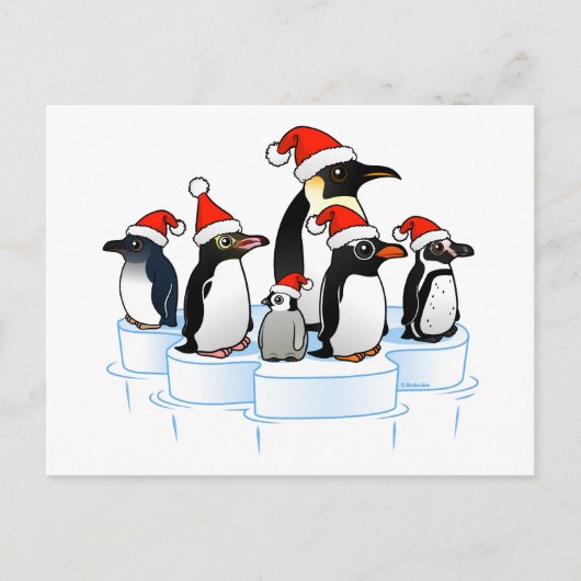 Kerstfeest Pinguïn Feestdagenkaart (Voorkant)