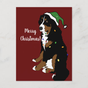 Kerstfeestdag Bernese Mountain Dog Briefkaart