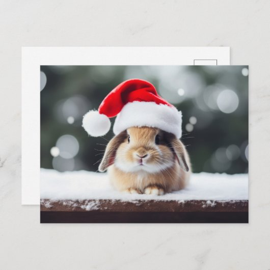 Kerstfeestdag Bunny Briefkaart (Voorkant / Achterkant)