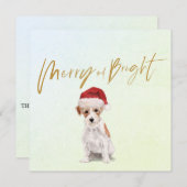 Kerstfeestdag Jack Russell Dog Merry Greeting (Voorkant / Achterkant)