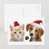 kerstfeestdag met kerstcadeau voor gezelschapsdier briefkaart (Voorkant / Achterkant)