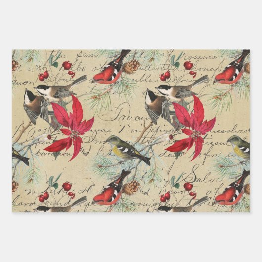 Kerstfeestdag vogel en rode poinsettia inpakpapier vel (Voorkant 2)