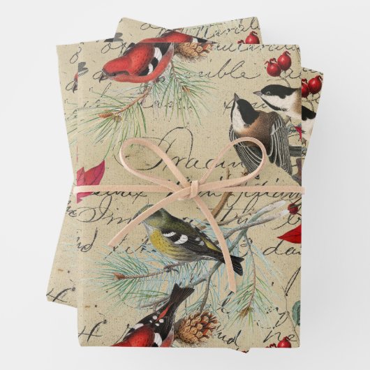 Kerstfeestdag vogel en rode poinsettia inpakpapier vel (In situ)