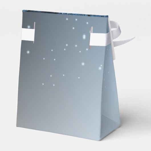 Kerstfeestdagen - Ornamenten met blauwe ogen Bedankdoosjes (Achterkant)