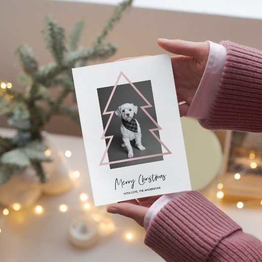 kerstfoto | Roos gouden kerstbomen