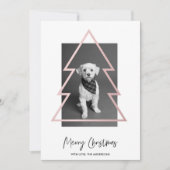 kerstfoto | Roos gouden kerstbomen (Voorkant)