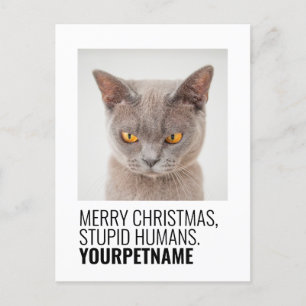 kerstfoto Simple Funny Pet Name Briefkaart