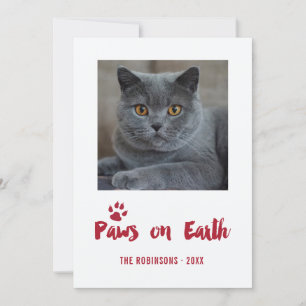 Kerstfoto Trendy Pet Feestdagenkaart