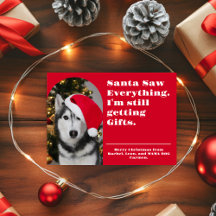 Kerstfoto van huisdier met humor 'Santa zag alles'