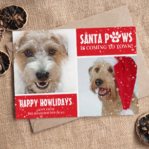 Kerstfoto van Santa Paws hond Gelukkige Howlidays Feestdagenkaart
