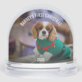 Kerstfoto van Winterhond Sneeuwbol (Achterkant)