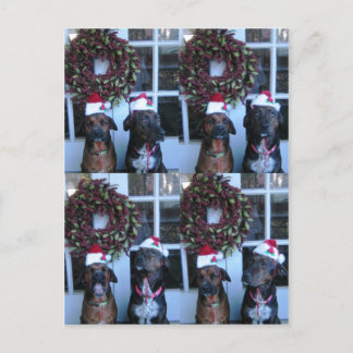 Kerstfoto voor studenten feestdagenkaart