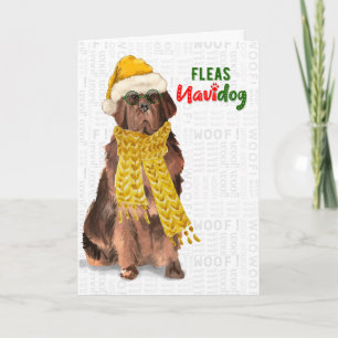 KerstFunny Newfoundland Fleas NaviDOG Feestdagen Kaart