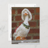 kerstgans feestdagenkaart (Voorkant / Achterkant)