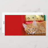 Kerstgeduld Feestdagenkaart (Voorkant / Achterkant)