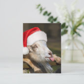 kerstgeit briefkaart (Staand voorkant)