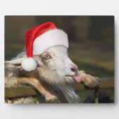 Kerstgeit Fotoplaat (Voorkant)