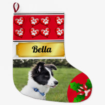 Kerstgezellen Pawprinters en Holly