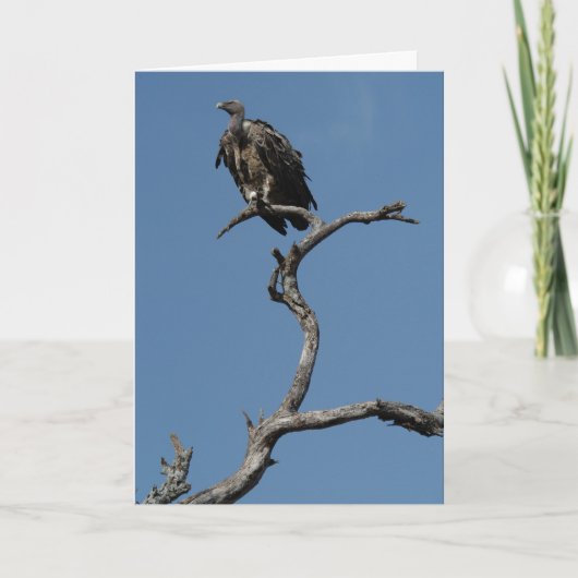 kerstgier feestdagen kaart (Voorkant)