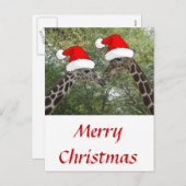 kerstGiraffes Feestdagenkaart (Voorkant / Achterkant)