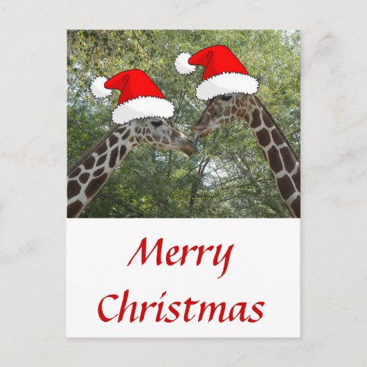 kerstGiraffes Feestdagenkaart (Voorkant)