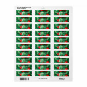 kerstgroen rode bessen terugzendadres etiket (Full Sheet)