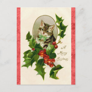 kerstgroet Cute Kitten Cat Briefkaart