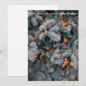 Kerstgroet Kerstkaart (Voorkant / Achterkant)