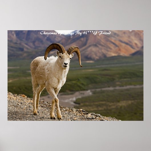 Kerstgroet, mijn liefdesvriendin poster (Voorkant)