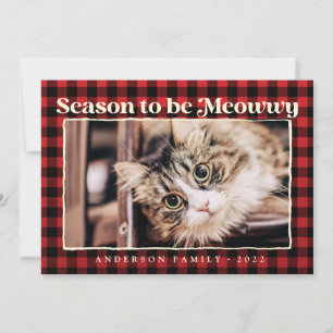 Kerstgroet Schotse Ruit Grappige Huisdier Kat Foto Feestdagenkaart