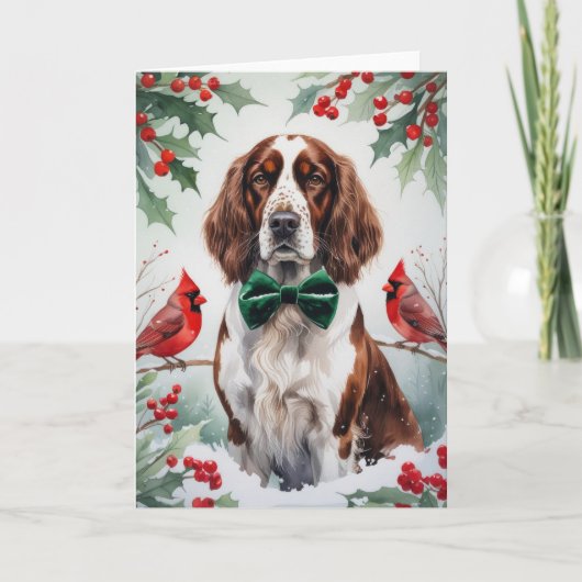 Kerstgroet van Engelse Setter-hond Kaart (Voorkant)