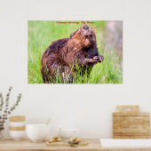 Kerstgroeten Big Beaver Poster (Keuken)