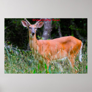 Kerstgroeten Deerest Poster