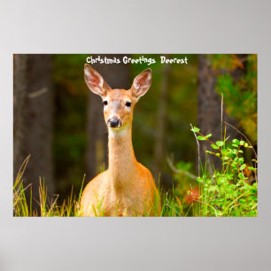 Kerstgroeten Deerest Poster