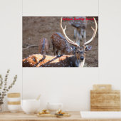 Kerstgroeten Deerest Poster (Keuken)