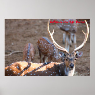 Kerstgroeten Deerest Poster