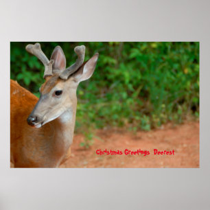 Kerstgroeten Deerest Poster