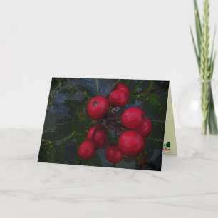 Kerstgroeten met Hulstbessen Feestdagen Kaart
