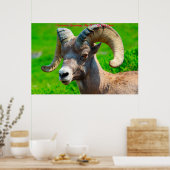 Kerstgroeten Mijn honinggeit Poster (Keuken)