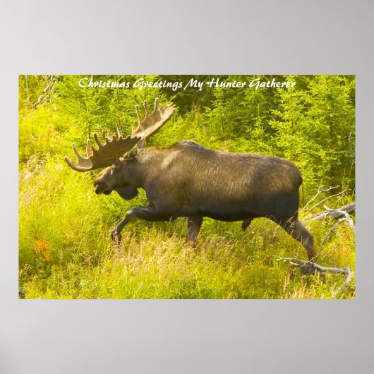 Kerstgroeten, mijn jager Gatherer Poster (Voorkant)