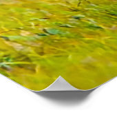 Kerstgroeten, mijn jager Gatherer Poster (Hoek)