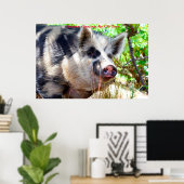 Kerstgroeten Mijn oude Boar Poster (Thuiskantoor)