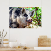 Kerstgroeten Mijn oude Boar Poster (Keuken)