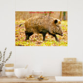 Kerstgroeten Mijn oude Boar Poster (Keuken)