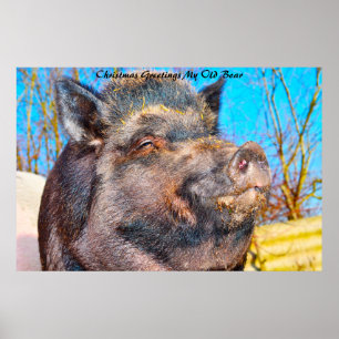 Kerstgroeten Mijn oude Boar Poster