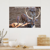 Kerstgroeten opa Hunter Gatherer Poster (Keuken)