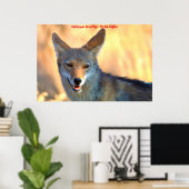 Kerstgroeten van mijn oude Coyote Poster (Thuiskantoor)