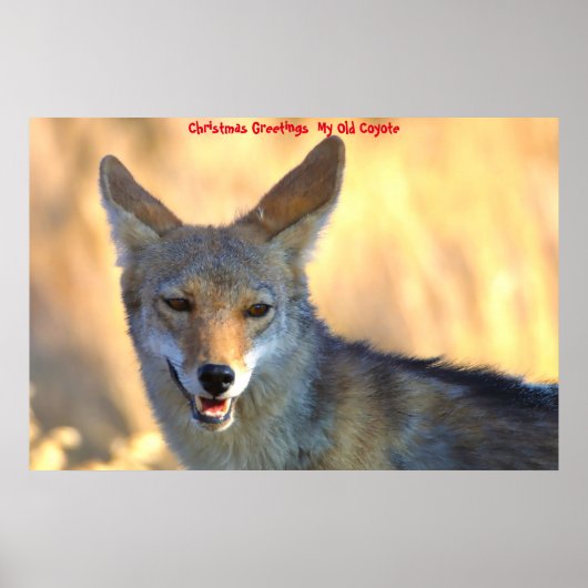 Kerstgroeten van mijn oude Coyote Poster (Voorkant)