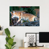 Kerstgroeten van mijn oude Coyote Poster (Thuiskantoor)