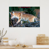 Kerstgroeten van mijn oude Coyote Poster (Keuken)
